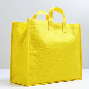 Box Bag Non Woven (With Handle / D Cut Design)